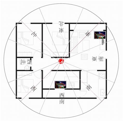 坐西南朝東北財位|坐西南朝東北財位佈置